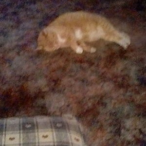 Meet your Posher, Kathy